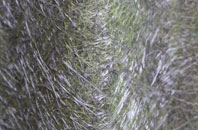 Dunks fibreglass roof work