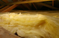 Dunks pitch roof insulation